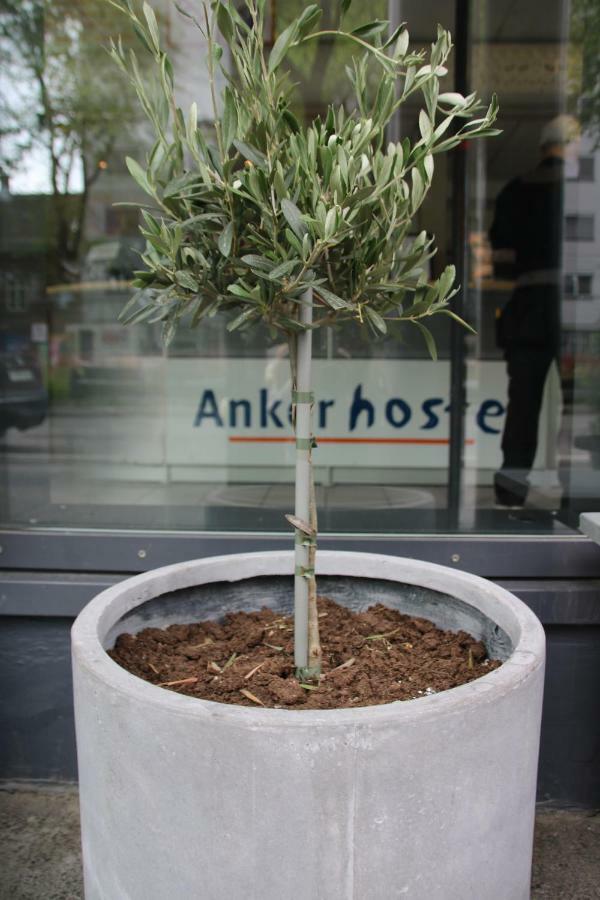 Anker Hostel Oslo Exteriér fotografie